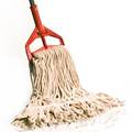 Wet Mops